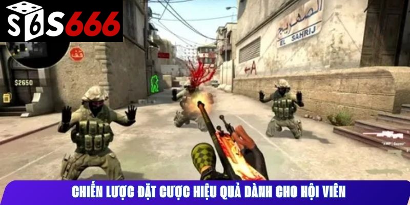 Chiến lược đặt cược hiệu quả dành cho hội viên
